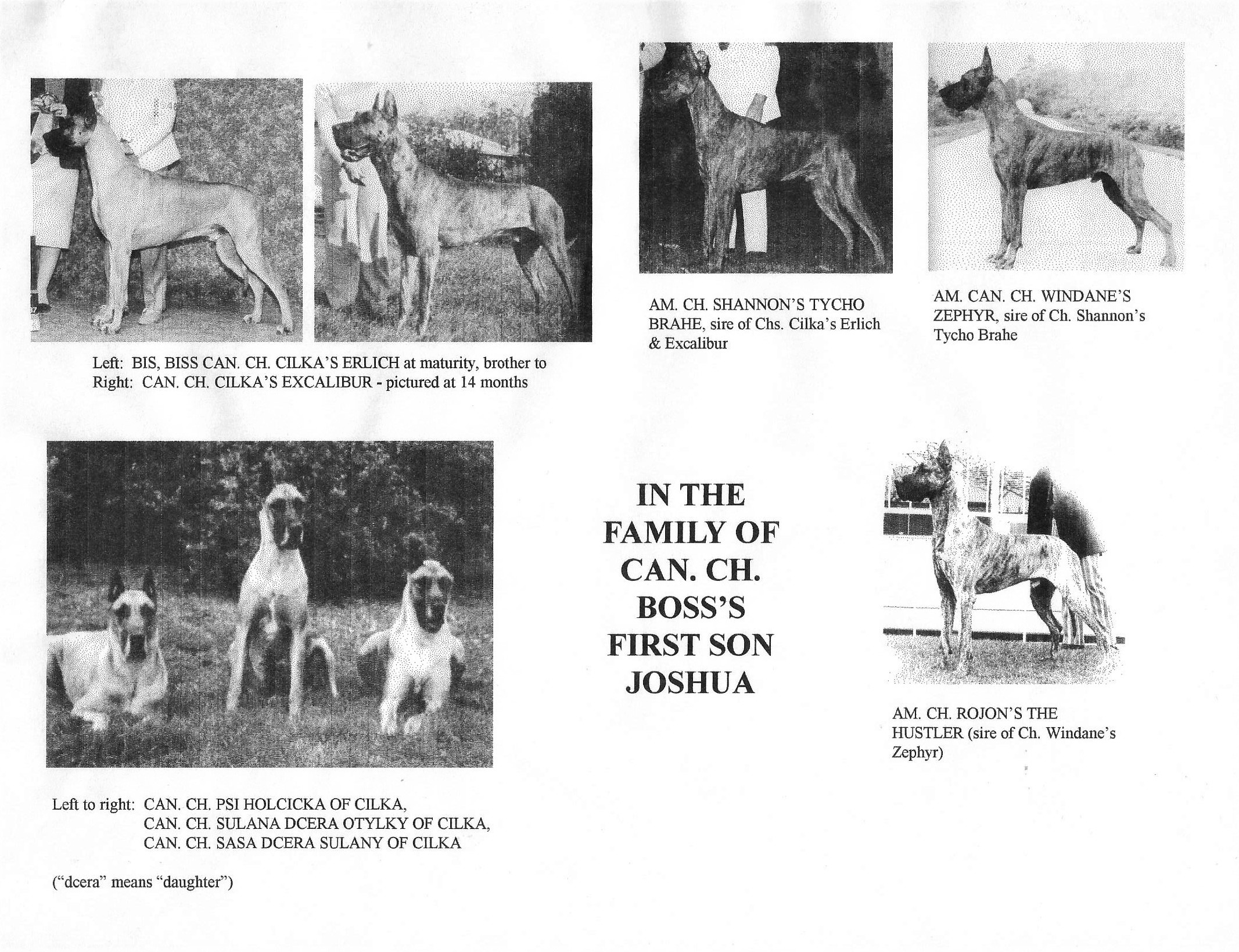 Family of Can ch Boss's First Son Joshua